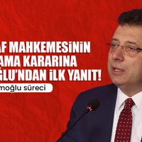 Siyaset