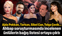 Ajda Pekkan, Tarkan, Sibel Can, Tolga Çevik... Ahbap soruşturmasında incelenen ünlülerin bağış listesi ortaya çıktı