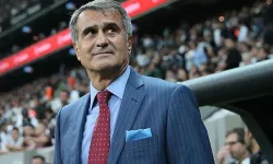 Şenol Güneş, A Milli Takım'a övgü dolu sözler: "Milli Takım hepimizin"