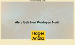 Alerji Belirtileri Kurdeşen Nedir