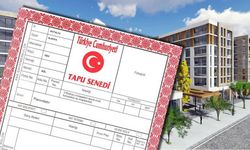 '65 yaş üstüne tapuda sağlık raporu zorunlu' iddialarına bakanlıktan yalanlama