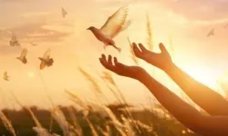 Bugün ne günü? 23 Ocak dünya karşılıksız iyilik günü nedir?