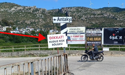 Hatay'da kuduz alarmı! Sokak köpekleri toplatılıyor, mahalleler karantinada