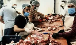 Vatandaşa yedireceklerdi: Binlerce kilo paça ve bağırsak ele geçirildi!