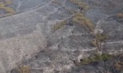 Tekirdağ Şarköy’deki yangın kontrol altına alındı!