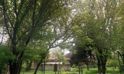 Atatürk Orman Çiftliği'nden kiralık depo ihalesi: Yenimahalle'deki iki taşınmaz açık artırmaya çıkıyor!