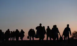 16 Düzensiz Göçmen yakalandı