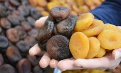 Malatya'dan dev ihracat