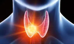 Tiroid hormonu nedir, düşüklüğü nasıl anlaşılır?