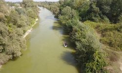 Sakarya Nehri'nden acı haber!