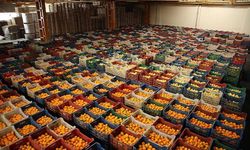 O ürüne rekor zam! Yüzde 500 zamlandı