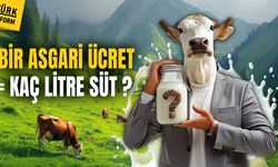 Türkiye, bir asgari ücrete kaç litre süt alınır araştırmasında sınıfta kaldı