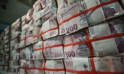 Bu Türk lirasını getirene 66 bin TL veriyorlar!
