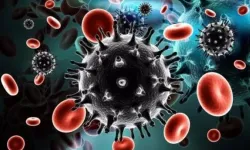 H3N2 grip varyantı nedir? H2N3 grip varyantı belirtileri, riskleri ve korunma yöntemleri nelerdir?