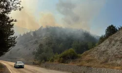 Karabük’te orman yangını: ekipler müdahale etmeye devam ediyor