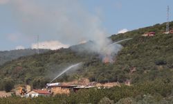 Kocaeli'de yangına başarılı müdahale!