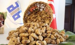 Aydın’da sezonun ilk kuru İnciri 400 liradan satıldı