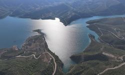 Ormanlar imara açılacak mı? DMM'den cevap geldi