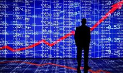 Nitelikli yatırımcı nedir, nasıl olunur, sınırı nedir?