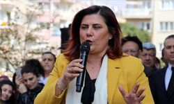 Çerçioğlu'ndan Aleyna Tilki ve Edis'e veto