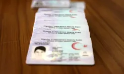 687 kişinin vatandaşlığı iptal edildi: Gerekçeleri şaşırttı!