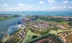 O ülkede sert karar: Dolandırıcılara kırbaç cezası!