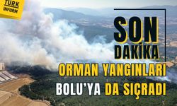 Bolu'da çıkan orman yangınına müdahale sürüyor
