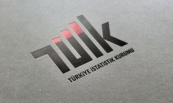 TÜİK duyurdu! Yıllık Sanayi ve Hizmet İstatistikleri Yatırım Harcamaları açıklandı