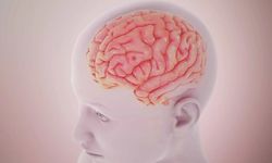 Beyin Tümörü nedir? Belirtileri, nedenleri ve tedavisi