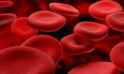 Büyüme Hormonu nasıl artar?