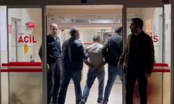 Çorum’daki petshop dükkanında akılalmaz olay! 1 ölü, 4 gözaltı