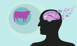 Bovine Spongiform Encephalopathy hastalığı nedir, nasıl bulaşır?