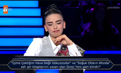 'İçime Çektiğim Hava Değil Gökyüzüdür' ve 'Soğuk Otların Altında' kitaplarının yazarı kimdir? Kim Milyoner Olmak İster?