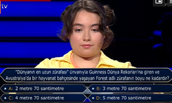 'Dünyanın En Uzun Zürafası' kaç boyundadır? Kim Milyoner Olmak İster'de 100 bin liralık soru 28 Eylül 2025