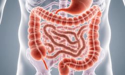 Gastrointestinal nedir?