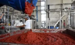 Gaziantep'te hijyen kurallarına aykırı salça üretimi durduruldu