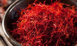 Safran nedir, nasıl kullanılır, neye faydalıdır? (Safranın sağlığa faydaları ve kullanımı)
