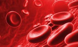 Hemoglobin nedir? Hemoglobin eksikliği nedir? Hemoglobin eksikliği belirtileri nelerdir?
