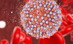 Hepatit C nedir? Nasıl bulaşır, belirtileri nelerdir?