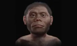 Homo floresiensis’in küçük boyutunun sırrı çözüldü
