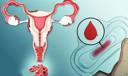 Yerleşme kanaması nedir, ne zaman olur, belirtileri ve farkları nelerdir?