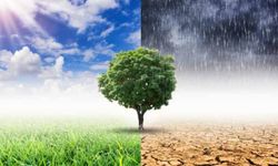 Klimatoloji nedir? Çalışma alanları nelerdir