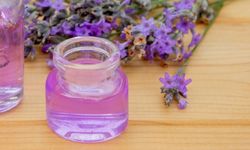 Lavanta yağı ne işe yarar? Lavanta yağı faydaları nelerdir?