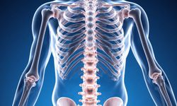 Lomber Vertebra Kontrastsız nedir?