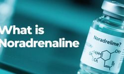 Noradrenalin nedir? Ne işe yarar, nasıl aktif edilir ve adrenalinle farkı