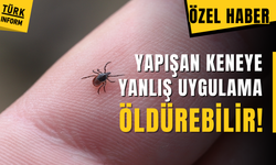 Keneye yanlış uygulama öldürebilir!