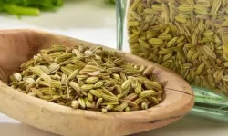 Dünyanın en sağlıklı yiyeceği seçildi: Rezene zirvede