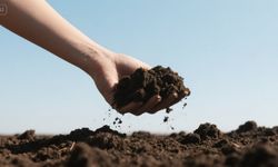 Rüyada toprak görmek ne anlama gelir? Rüyada toprak kazmak, toprak yemek ve toprak evi görmek