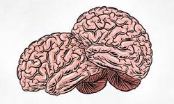 Sapyoseksüel nedir? Sapyoseksüel erkek ve kadın özellikleri nelerdir?