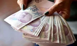 Tarım Bakanlığı duyurdu! 47 milyonluk destek ödemesi bugün hesaplarda